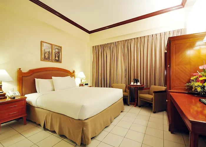 Hotel Palmas De