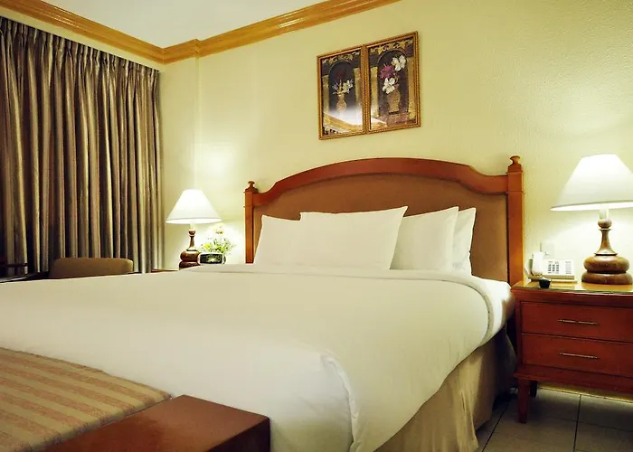 Hotel Palmas De